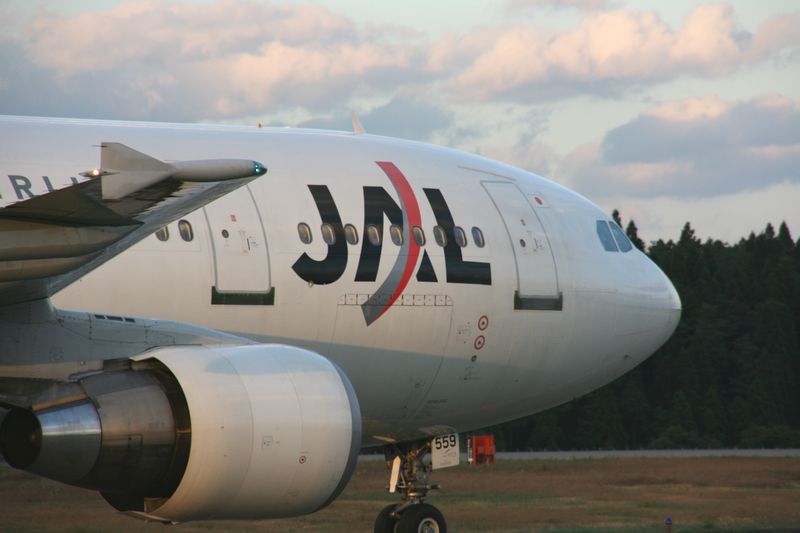 c0148781_2051819.jpg