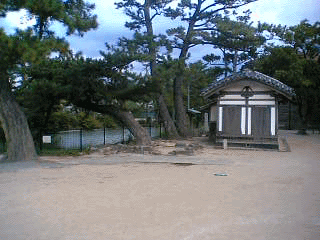 c0037384_2422626.gif