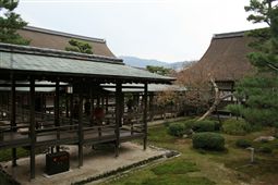 b0003089_23102528.jpg
