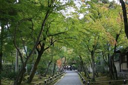 b0003089_23145782.jpg