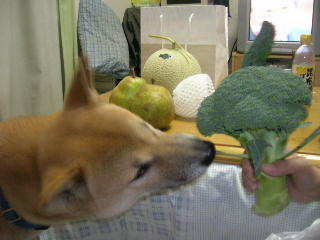 c0123890_21153715.jpg
