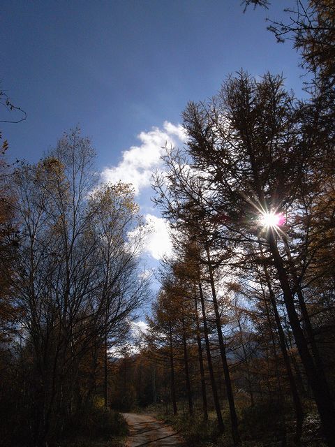 a0093592_2302384.jpg