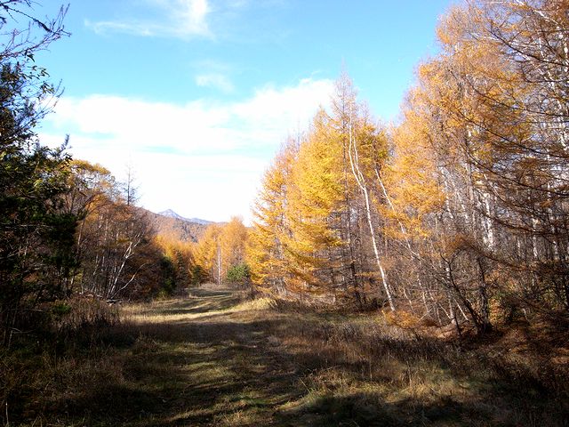 a0093592_23384547.jpg