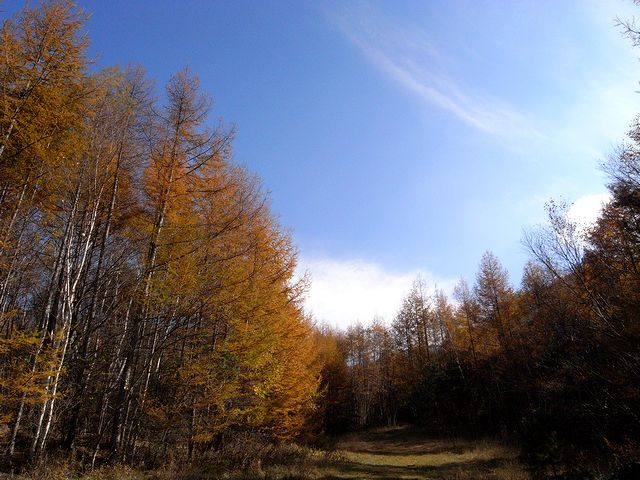a0093592_2339525.jpg