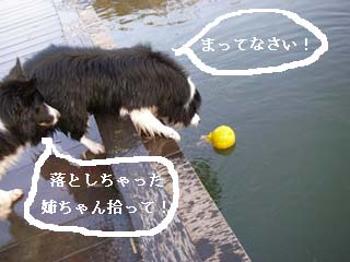 f0114893_10384524.jpg