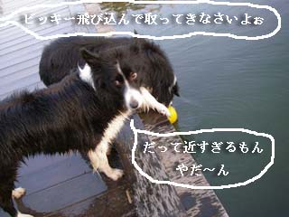 f0114893_2072574.jpg