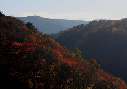 c0118496_2162419.jpg