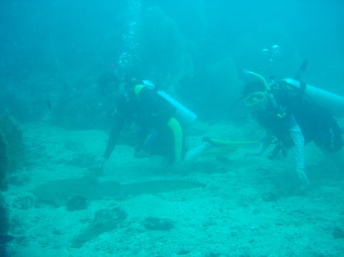 d0098397_19594192.jpg