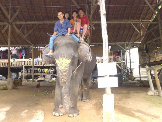 d0098397_2083636.jpg