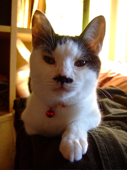 f0001698_1495720.jpg