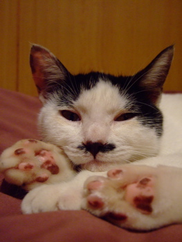 f0001698_151126.jpg