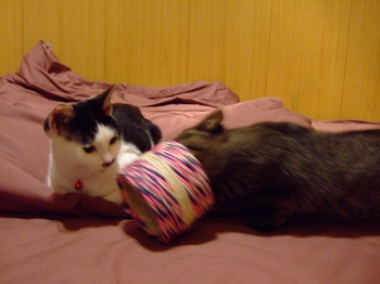 f0001698_2115993.jpg