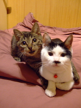 f0001698_2131236.jpg