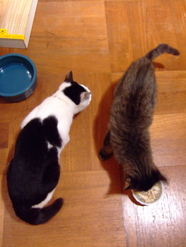 f0001698_215179.jpg