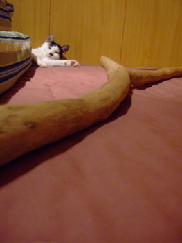 f0001698_2305415.jpg
