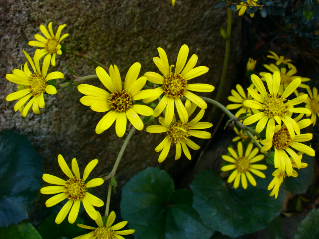 a0031000_21194238.jpg