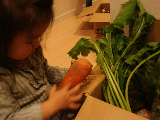 d0091001_06652.jpg