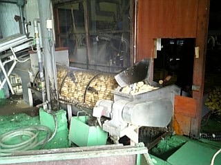 b0029202_16482889.jpg