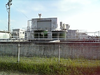 b0029202_1649051.jpg
