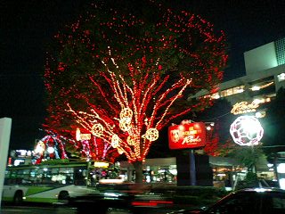 b0042003_21312467.jpg