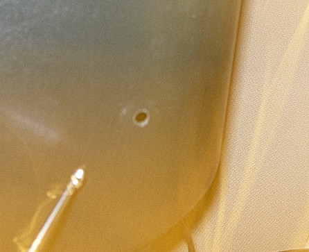 f0030803_17354675.jpg