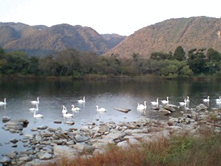 a0040708_105386.jpg