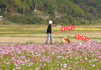 a0041108_20421750.jpg