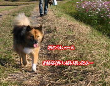 a0041108_20532724.jpg