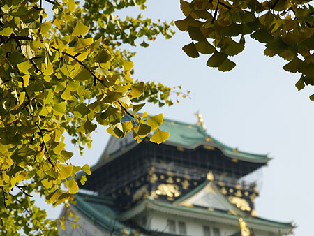a0041508_0384545.jpg