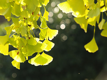 a0041508_039170.jpg