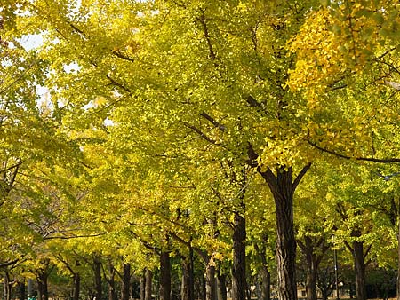 a0041508_0392060.jpg