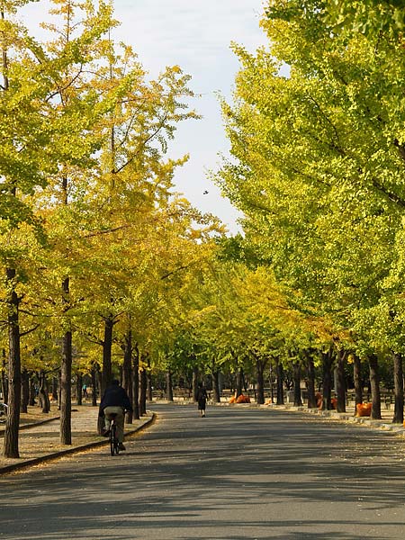a0041508_0393816.jpg