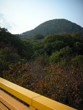 c0145209_0453685.jpg