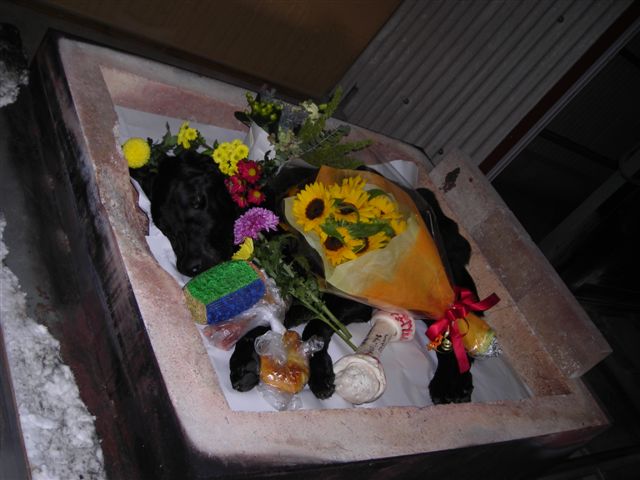 d0104209_20315290.jpg