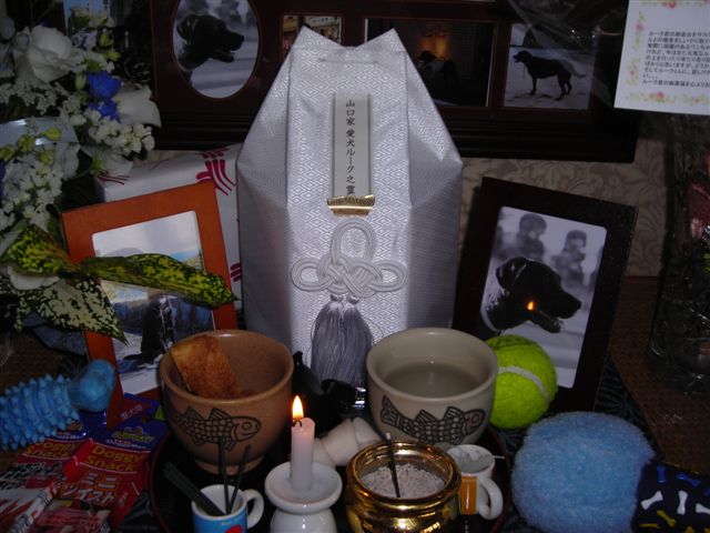 d0104209_20341492.jpg