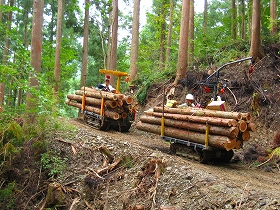 e0002820_774032.jpg