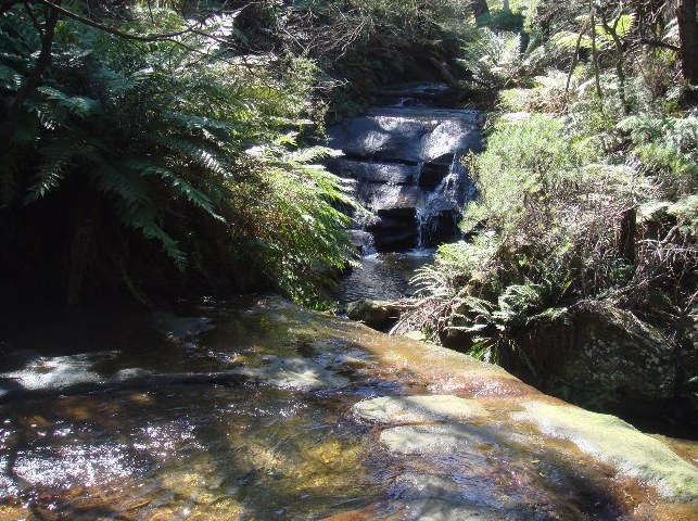 f0155522_8402758.jpg