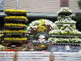 d0054930_20431527.jpg
