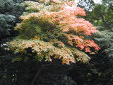 d0054930_20482491.jpg