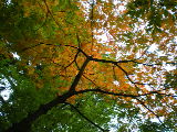d0054930_20483828.jpg