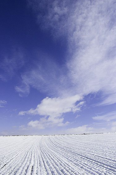 e0025030_14145585.jpg
