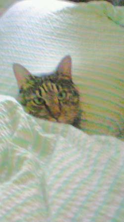 c0133533_133132.jpg