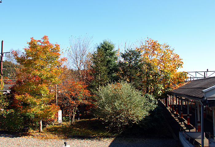 e0072638_19261720.jpg