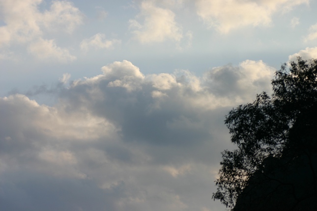 e0083238_0115059.jpg