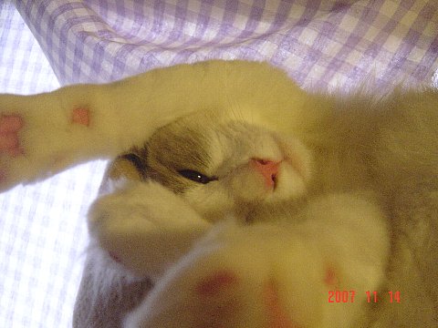 a0062240_125039.jpg