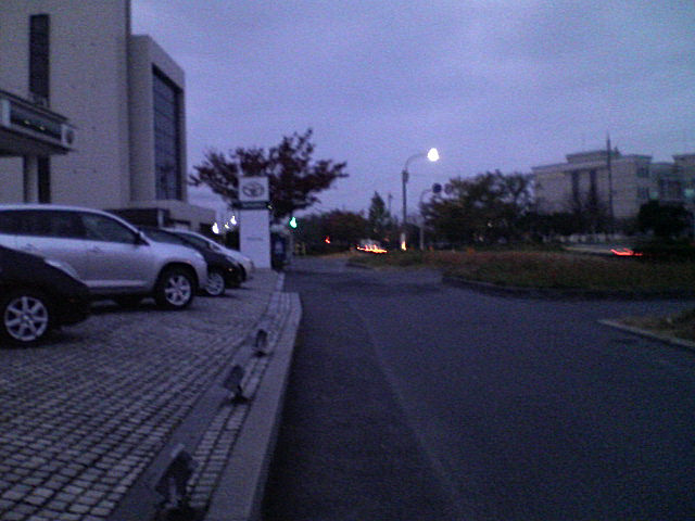 f0129543_9595881.jpg