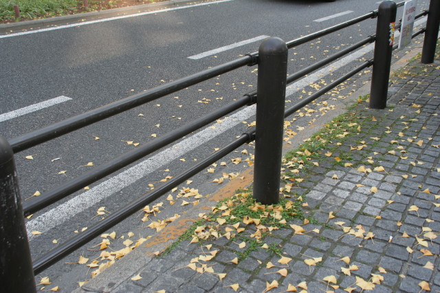 e0039744_16164552.jpg