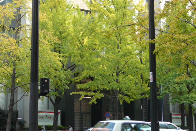 e0039744_1619366.jpg