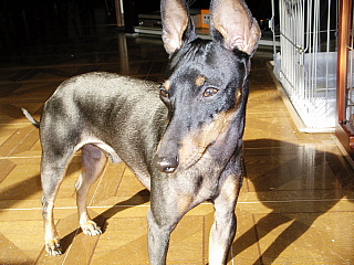 c0123149_15144761.jpg