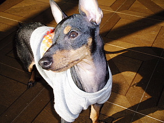 c0123149_1523248.jpg